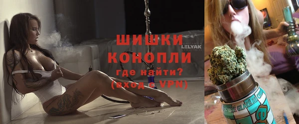 СК Вязьма