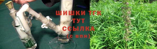 СК Вязьма