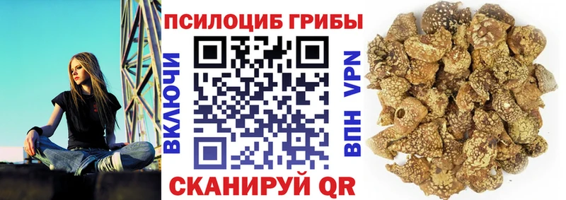 hydra ССЫЛКА  купить закладку  Чусовой  Галлюциногенные грибы Cubensis 
